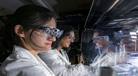 Image of DePaul Researchers